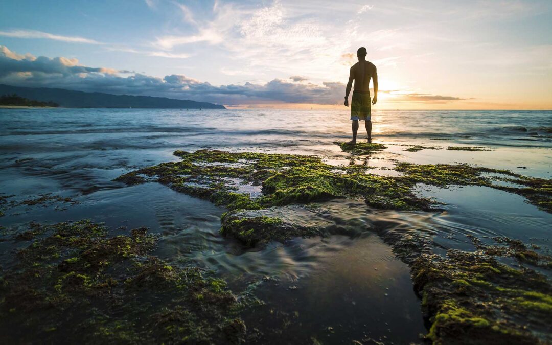 NOTRE CORPS EST COMPOSÉ DE 80% D’EAU